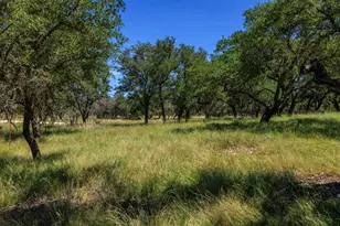 429 Spanish Oak Trail, Harper, TX 78631 - Photo 33