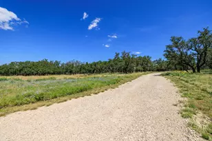 429 Spanish Oak Trail, Harper, TX 78631 - Photo 39