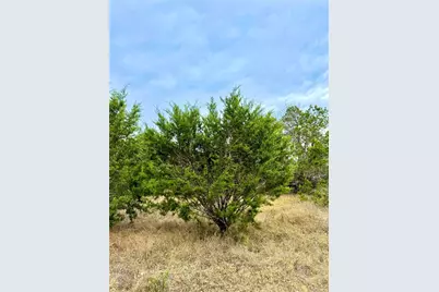 422 Eagle Lane, Fischer, TX 78623 - Photo 9