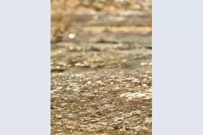 422 Eagle Lane, Fischer, TX 78623 - Photo 7