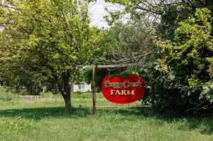 3409 Neal St, Austin, TX 78702 - Photo 29