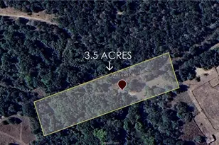 3960 Co Rd 324, Caldwell, TX 77836 - Photo 3