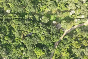 3960 Co Rd 324, Caldwell, TX 77836 - Photo 13