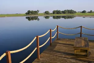 3420 De Soto Loop, Round Rock, TX 78665 - Photo 33