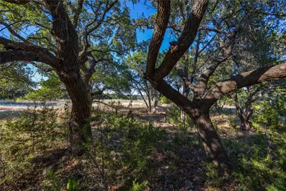 Tbd Crazy Cross Road, Wimberley, TX 78676 - Photo 27
