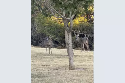 169 Royal Oaks Hill, Fredericksburg, TX 78624 - Photo 39