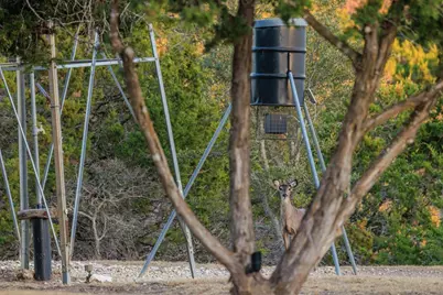 169 Royal Oaks Hill, Fredericksburg, TX 78624 - Photo 37