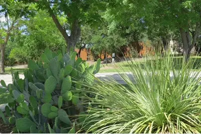 169 Royal Oaks Hill, Fredericksburg, TX 78624 - Photo 35