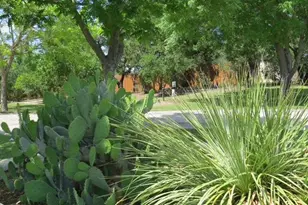 169 Royal Oaks Hill, Fredericksburg, TX 78624 - Photo 35