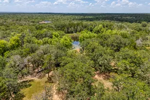 229 Green Mountain Dr, Cedar Creek, TX 78612 - Photo 39