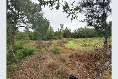 000 McDonald Lane W, Cedar Creek, TX 78612 - Photo 11