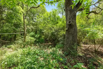 1511 Terrapin Court #B, Austin, TX 78746 - Photo 23