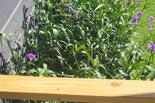 210 Fallwell St, Liberty Hill, TX 78642 - Photo 31