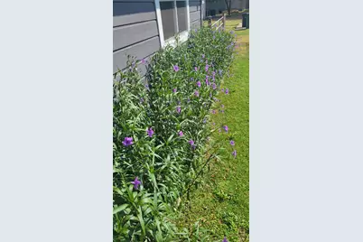 210 Fallwell Street, Liberty Hill, TX 78642 - Photo 31