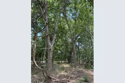 Lot 902 Kahana Lane, Bastrop, TX 78602 - Photo 9