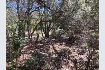 55 York Creek Road, Driftwood, TX 78619 - Photo 9