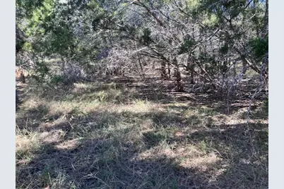55 York Creek Road, Driftwood, TX 78619 - Photo 3