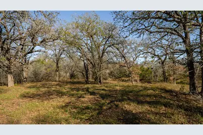 199 Azalea Court, Dale, TX 78616 - Photo 9