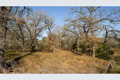 199 Azalea Court, Dale, TX 78616 - Photo 11