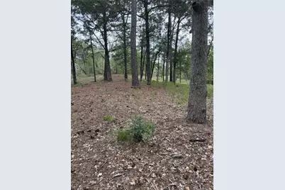 Lot 290 Aka Court, Bastrop, TX 78602 - Photo 3