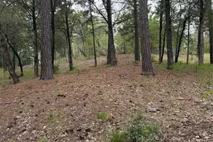 Lot 290 Aka Ct, Bastrop, TX 78602 - Photo 1