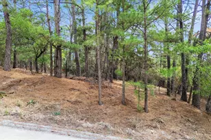 141 Kamaiki Dr, Bastrop, TX 78602 - Photo 1