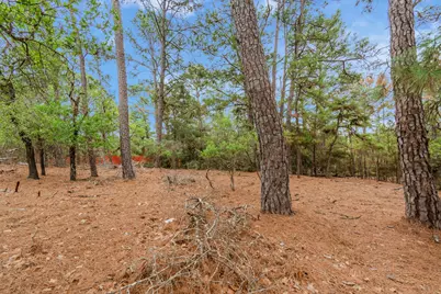 141 Kamaiki Drive, Bastrop, TX 78602 - Photo 7