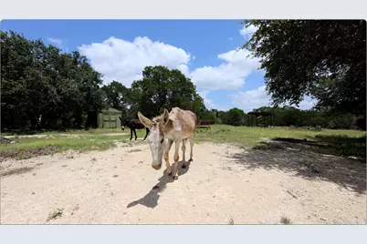 Tbd Cottonwood Road, Wimberley, TX 78676 - Photo 11
