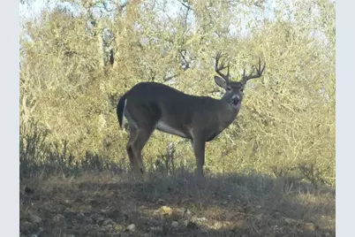 Tbd 144.45 Acres, Smithville, TX 78957 - Photo 11