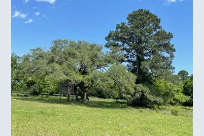 Tbd 144.45 Acres, Smithville, TX 78957 - Photo 19