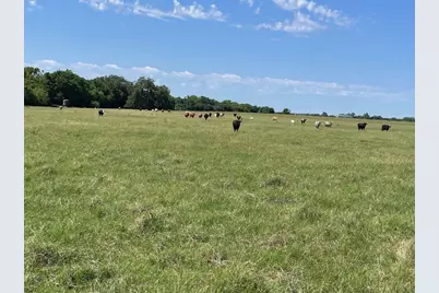 Tbd 144.45 Acres, Smithville, TX 78957 - Photo 5