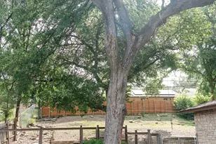 3101 Matador Dr, Austin, TX 78741 - Photo 19