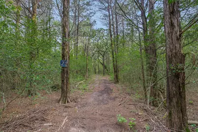 1218 County Road 436, Dime Box, TX 77853 - Photo 27
