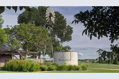 285 Prickly Poppy Loop, Kyle, TX 78640 - Photo 39