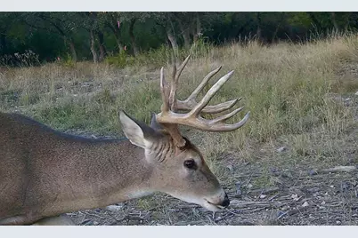 1337 Pr 3440, Kempner, TX 76539 - Photo 5