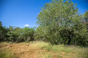 560 PR Goose Creek Ln, Jourdanton, TX 78026 - Photo 25