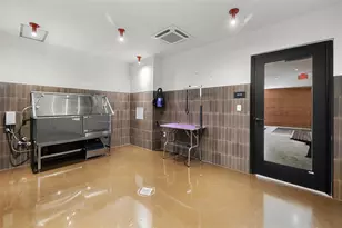 4315 S Congress Ave, Austin, TX 78745 - Photo 31