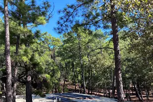 1135 Red Fox Rd, La Grange, TX 78945 - Photo 29