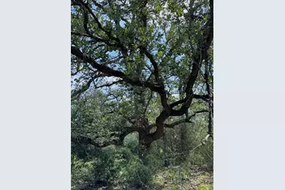 Tbd County Road 482 Road, Gonzales, TX 78629 - Photo 23