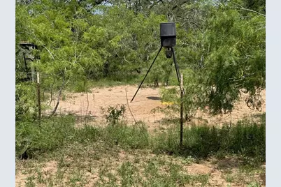 Tbd County Road 482 Road, Gonzales, TX 78629 - Photo 19