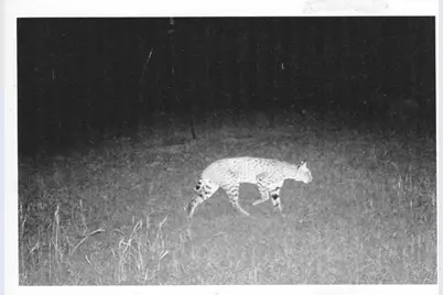 Tbd County Road 482 Road, Gonzales, TX 78629 - Photo 21