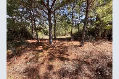 Tbd Hula Lane, Bastrop, TX 78602 - Photo 1