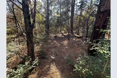 Tbd Hula Lane, Bastrop, TX 78602 - Photo 3