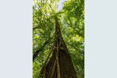 Tbd Hula Lane, Bastrop, TX 78602 - Photo 21