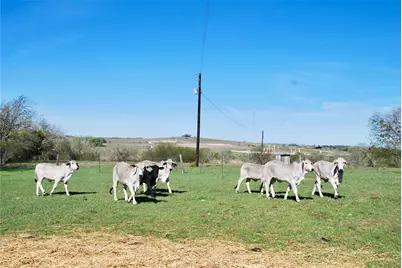 Tbd State Hwy 95 Highway N, Moulton, TX 77975 - Photo 15