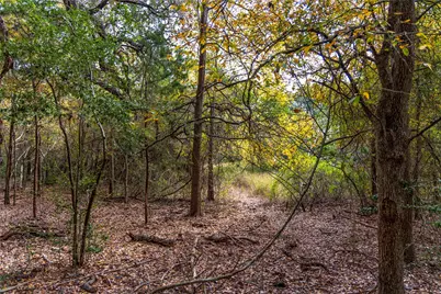 Tbd Ladewig, Schulenburg, TX 78956 - Photo 15