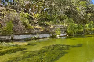 3764 Ranch Road 1623, Blanco, TX 78606 - Photo 33