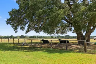 3764 Ranch Road 1623, Blanco, TX 78606 - Photo 27