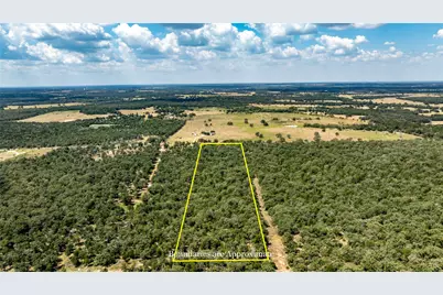Tract 3 Edgewood Trail Road, Paige, TX 78659 - Photo 9