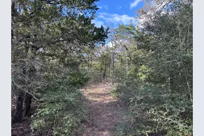 142 Meduna Road, Smithville, TX 78957 - Photo 5